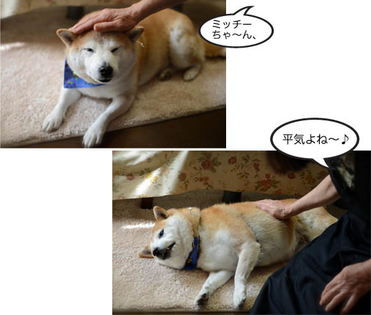 29日ブログ10.jpg