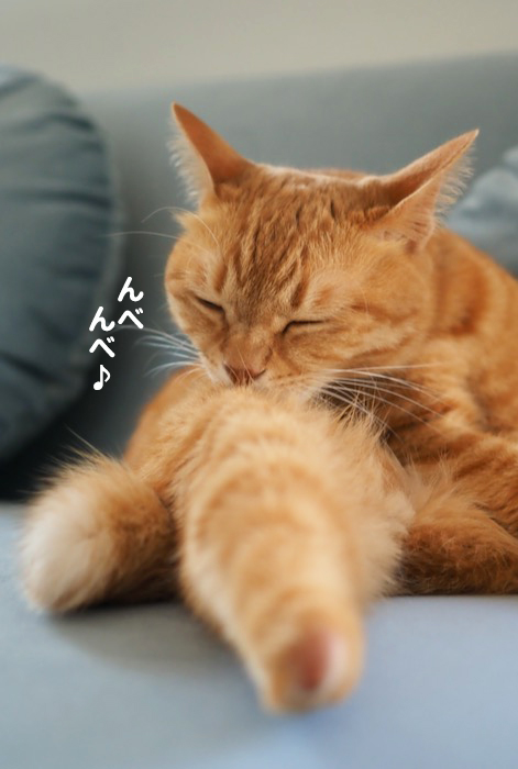 3日夕ブログ４