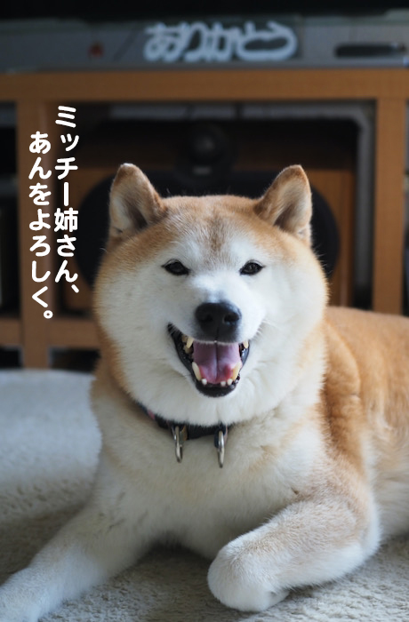 1日夕ブログ１７