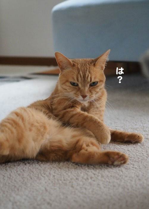 16日夕ブログ３