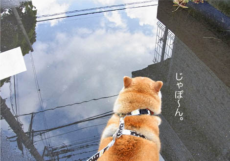 18日ブログ２.jpg