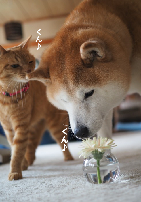 4日夜ブログ３