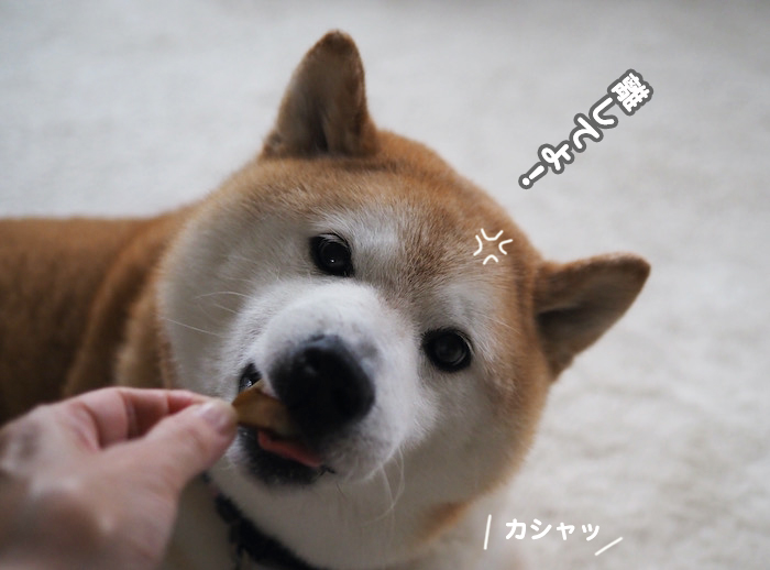 10日夕ブログ７