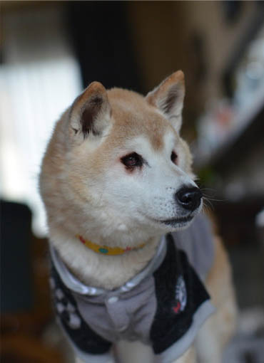 24日ブログ10.jpg