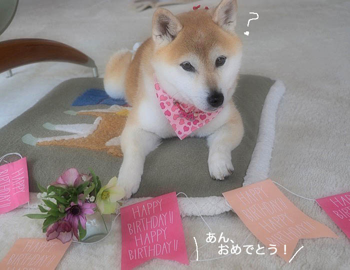 3日ブログ2