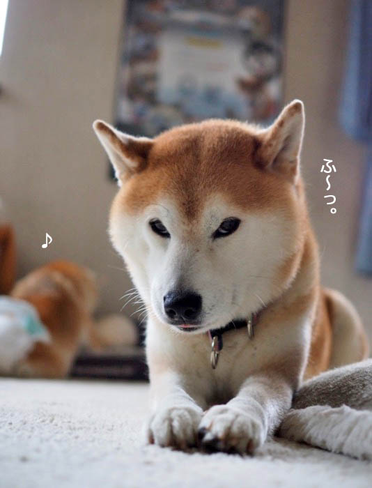 23日ブログ１１