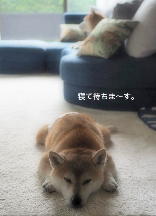 11日ブログ５