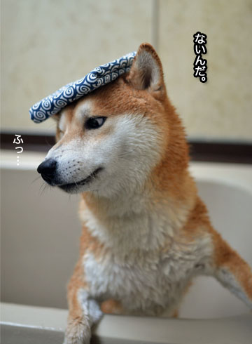 26日ブログ10.jpg