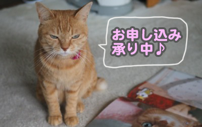 24日ブログ５