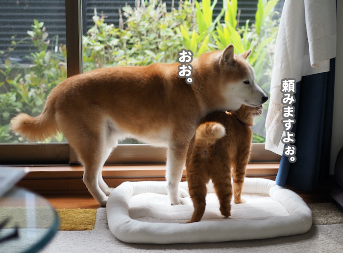 2日夕ブログ１１