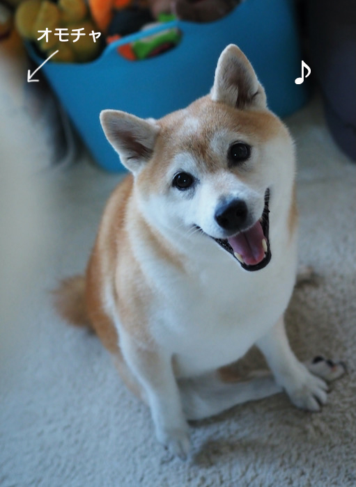 12日ブログ２
