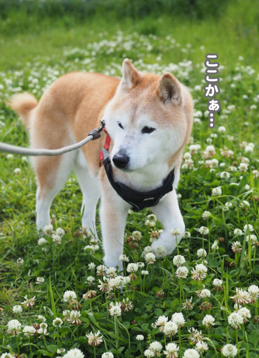 8日ブログ２