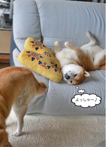 23日ブログ6.jpg