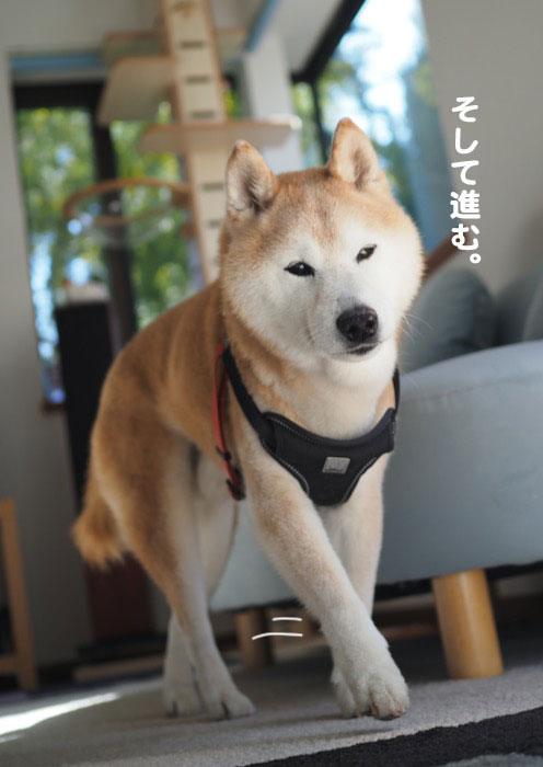 9日ブログ５