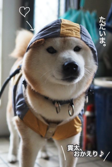 22日夜ブログ８