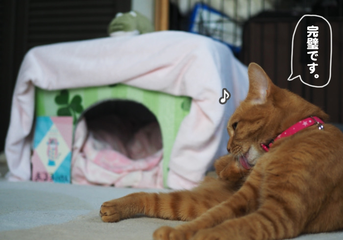 4日夕ブログ８