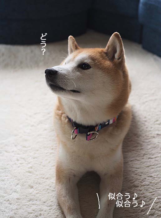 16日夜ブログ４