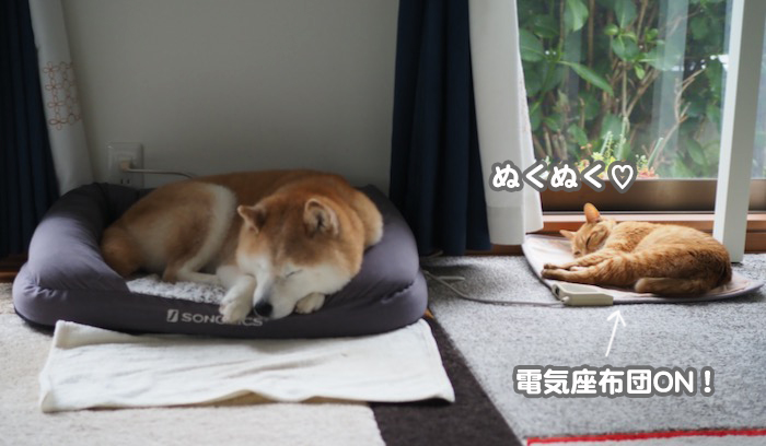 31日ブログ３