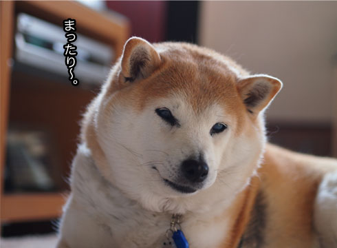 28日ブログ2.jpg