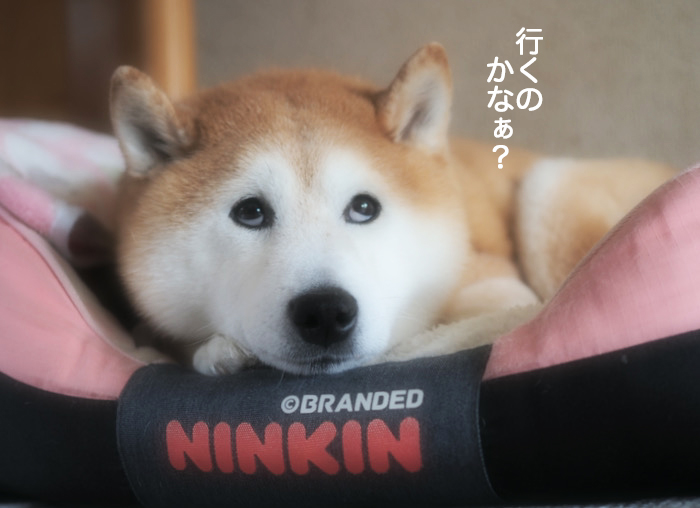 1日夜ブログ８