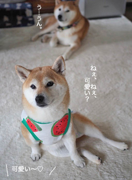 12日ブログ5