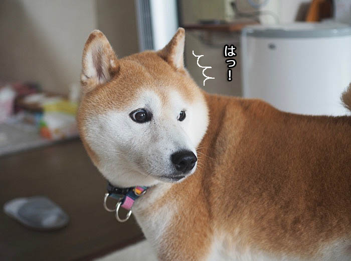 23日ブログ２