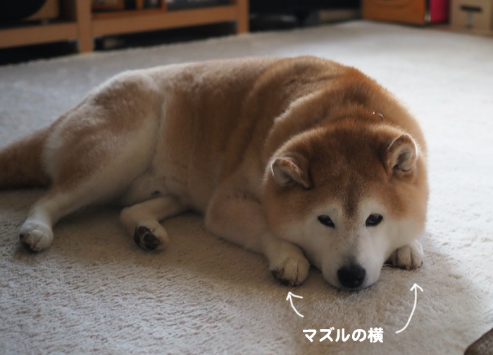 22日ブログ１