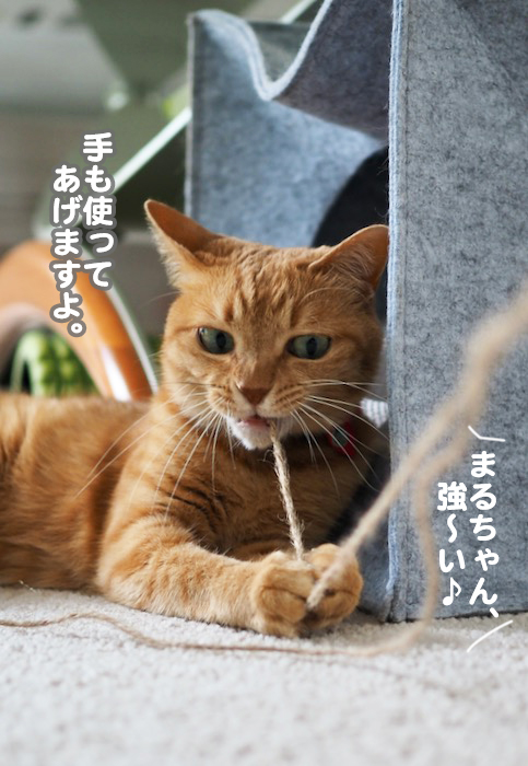 24日夕ブログ７