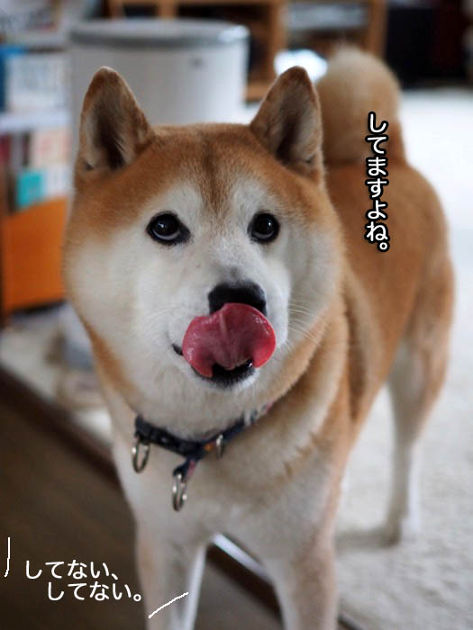 11日ブログ４