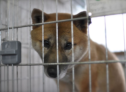 10日ブログ9.jpg