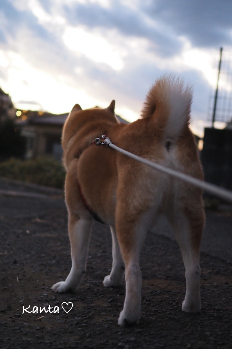 5日ブログ３