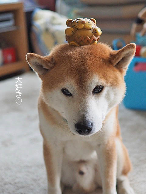 28日ブログ5