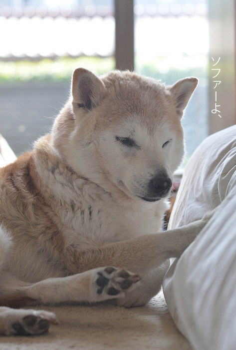 29日ブログ2