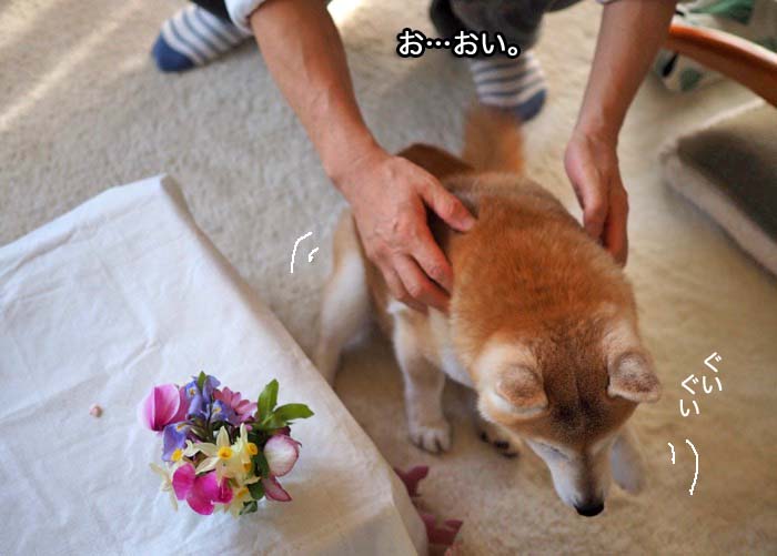 3日午後ブログ６