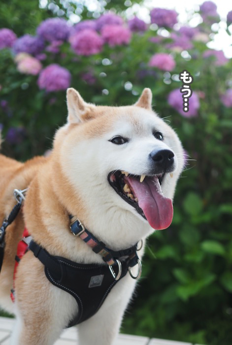 26日ブログ３