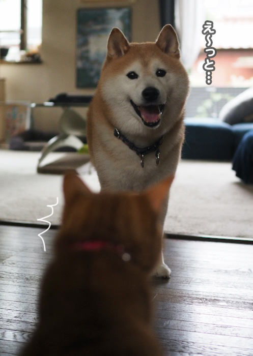 15日夕ブログ２