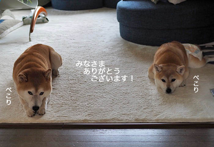 20日夜ブログ４