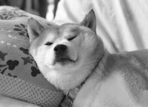 23日ブログ3.jpg