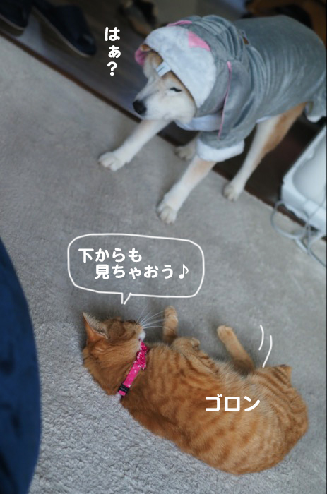 16日夕ブログ１０