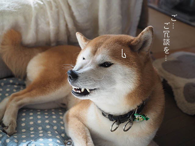 25日ブログ9