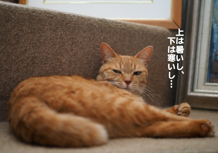 26日夕ブログ３