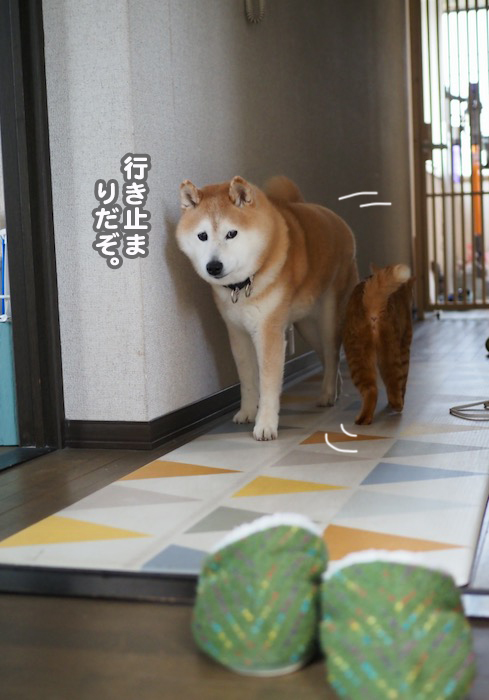 24日ブログ１