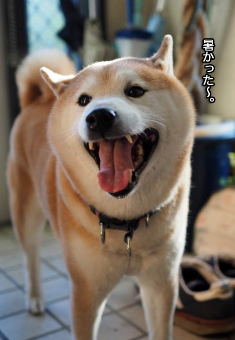 22日夜ブログ5