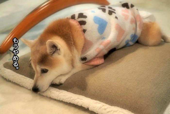 4日夜ブログ６