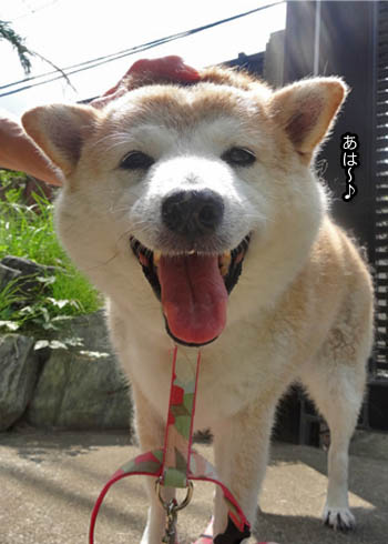 28日ブログ6.jpg