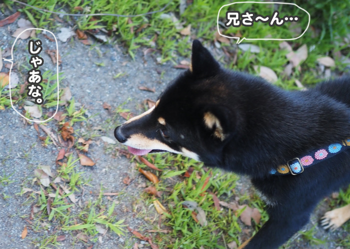 28日夜ブログ8