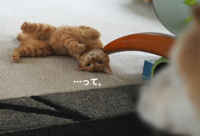 7日夕ブログ９