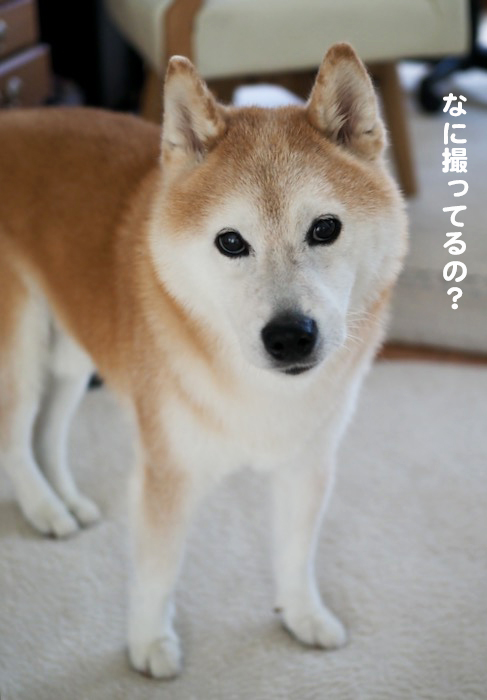 16日ブログ２