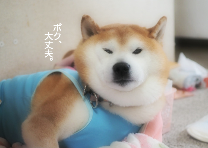 14日夜ブログ11