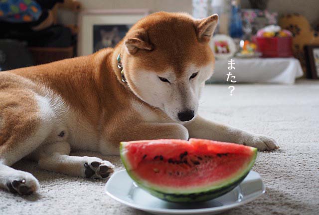 29日ブログ8